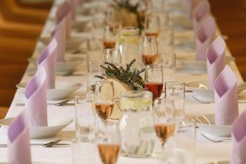 Svatba na Zámku - přípitek